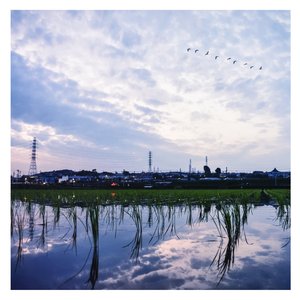 日逼欧美激情免费
